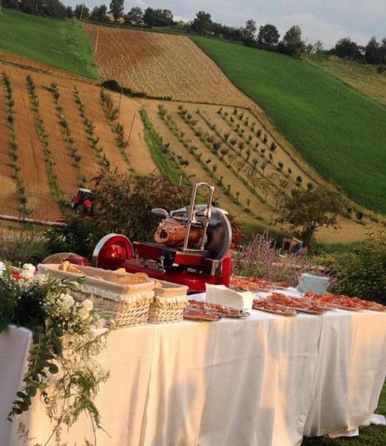 Agriturismo Alba Del Borgo Fidenza Dış mekan fotoğraf