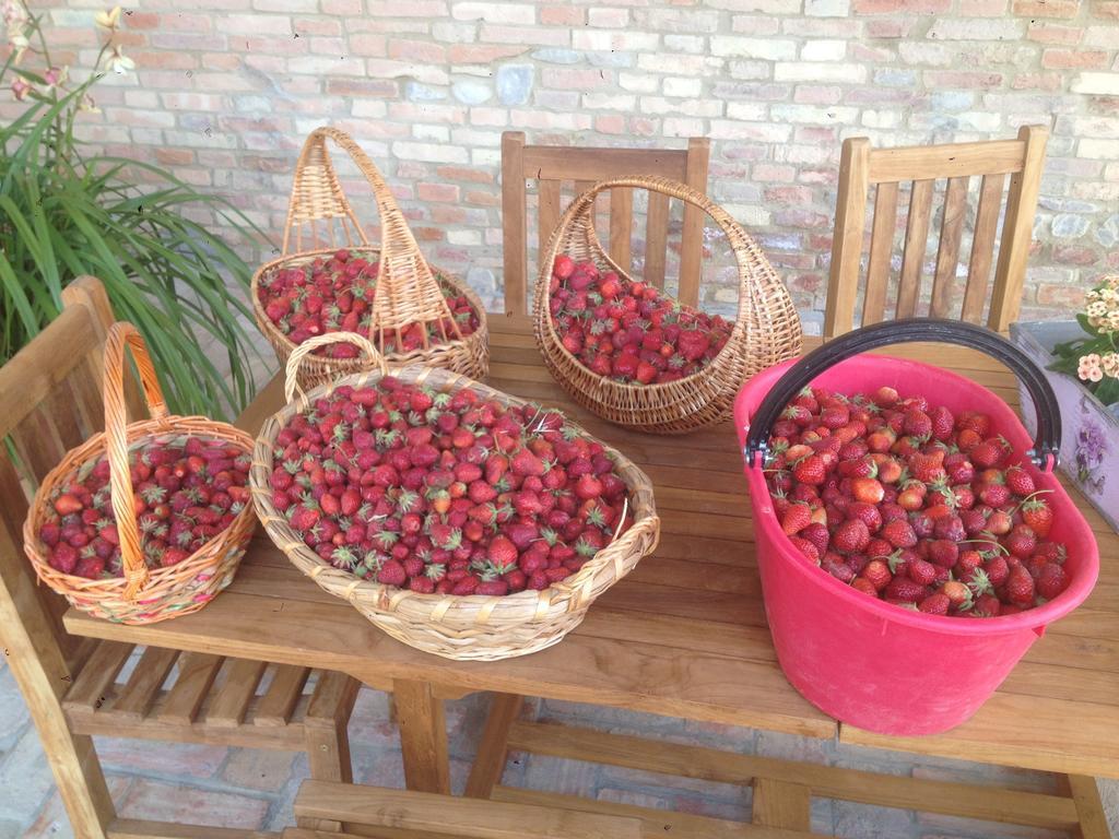 Agriturismo Alba Del Borgo Fidenza Dış mekan fotoğraf